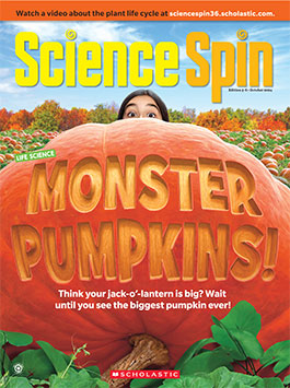 Magazine Issue Cover